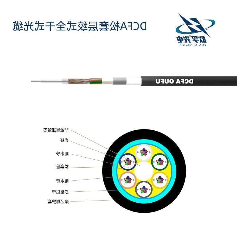 普陀区DCFA光缆