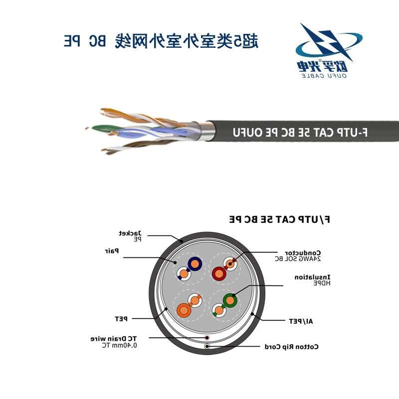 渭南市F-UTP CAT 5E BC PE