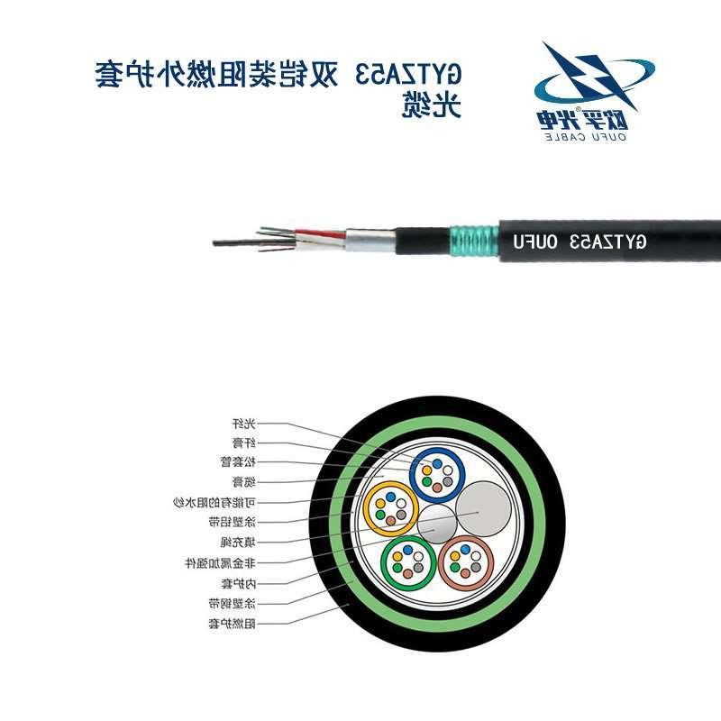 普陀区GYTZA53光缆