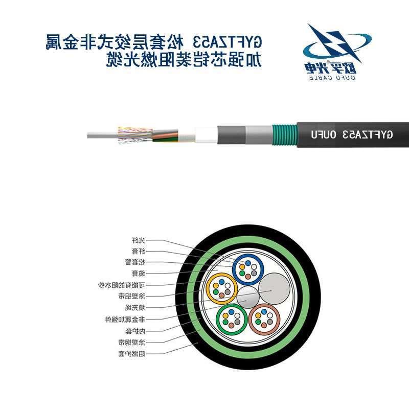 普陀区GYFTZA53光缆