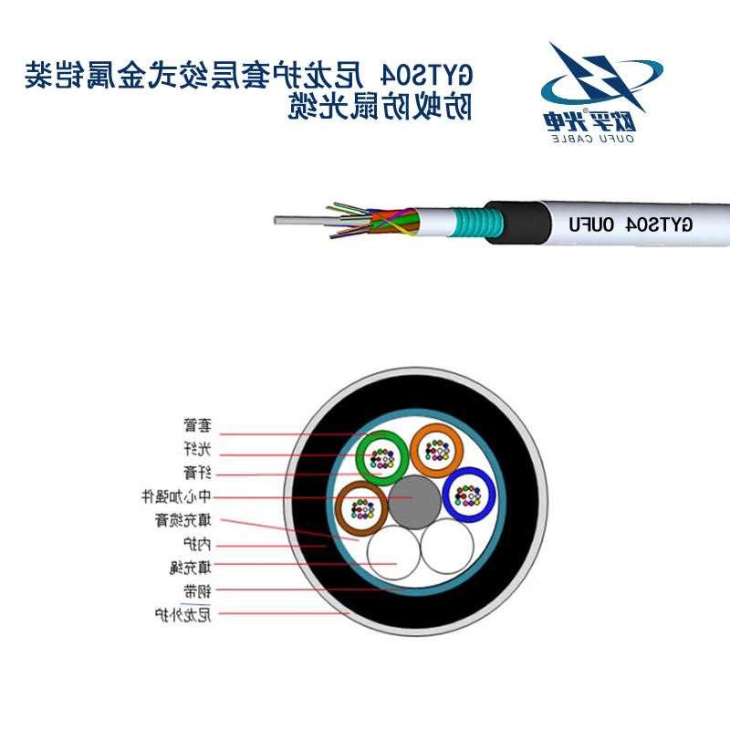 普陀区GYTS04光缆